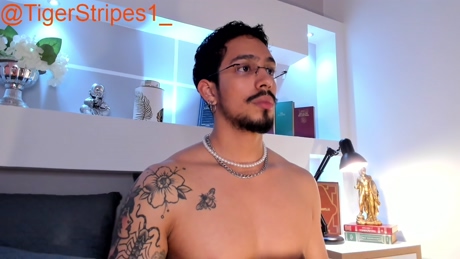 tigerstripees  11-01-2022